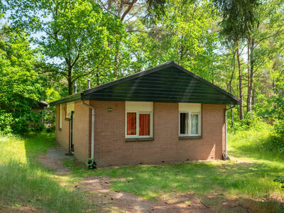4-persoons bungalow