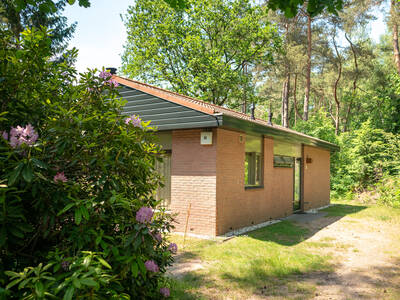 6-persoons bungalow