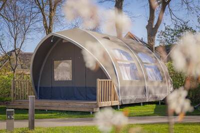 Big Oak Tent | 6 personen