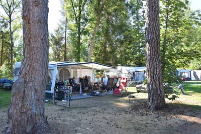 Comfort kampeerplaats met hond Ommervallei