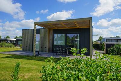 Domus 4
