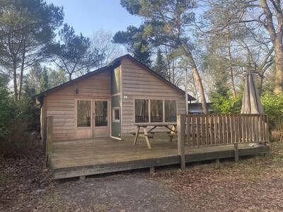 Glamping family lodge 10