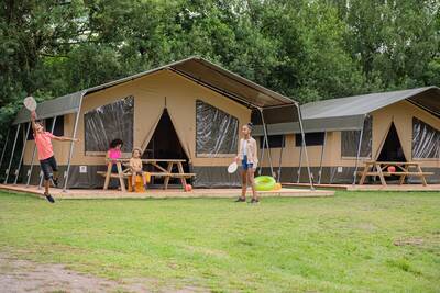 Glampingtent de Meeuw