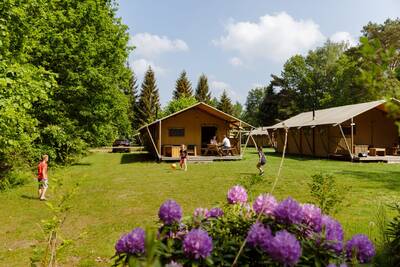 Safaritent de Wold Lodge