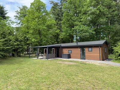 Vechtdal chalet met hond