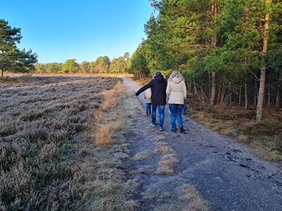 Family walks along a heath in a forest on the Veluwe