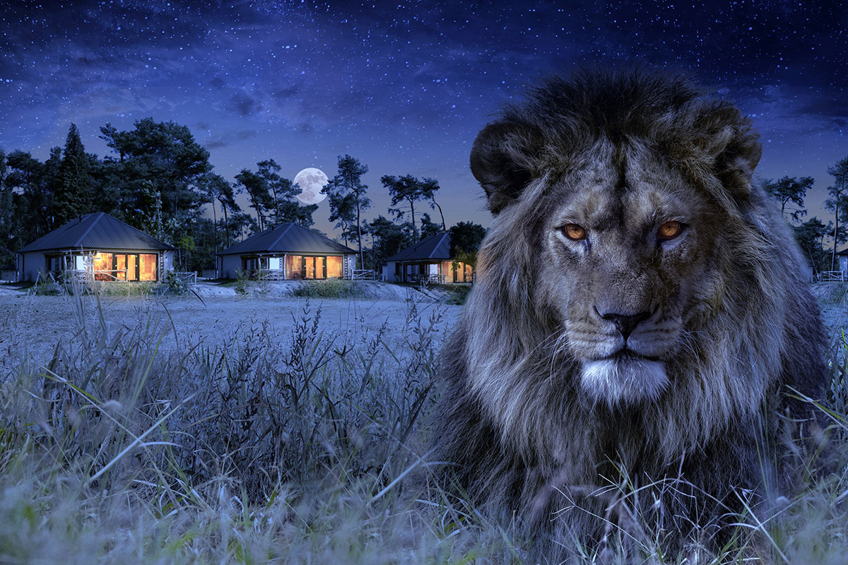 Come spend the night at Safari Park Beekse Bergen