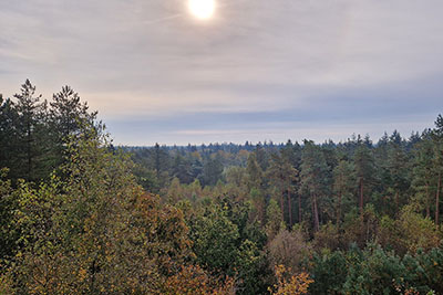 autumn activities holiday parks 2024.jpg