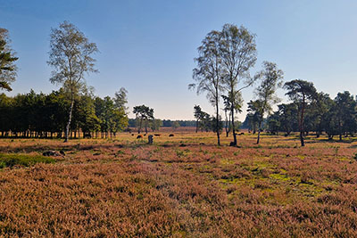 best outings veluwe.jpg