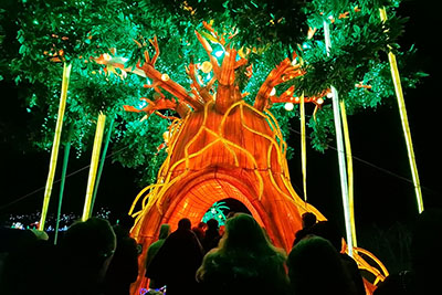 light safari beekse bergen.jpg