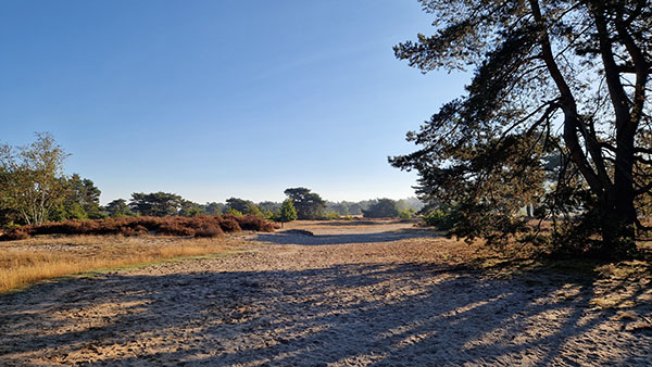 Photo of nature on the Veluwe near Otterloo