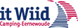 Wiid logo