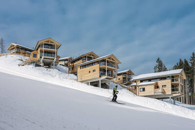 Detached chalets directly on the ski slope at Alps Resorts Alpenchalets Reiteralm