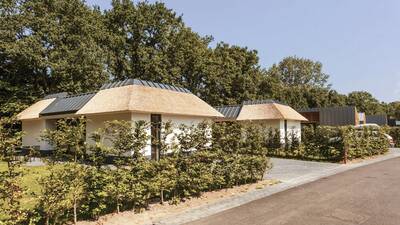 Holiday homes with thatched roofs at the Dutchen Villapark Suitelodges Gooilanden holiday park