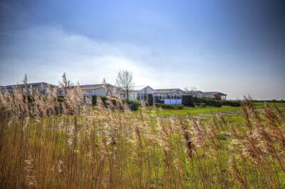 Chalets at the EuroParcs Schoneveld holiday park