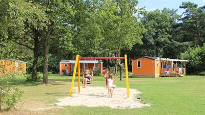 Children on the swing between the chalets at holiday park Molecaten Park De Koerberg