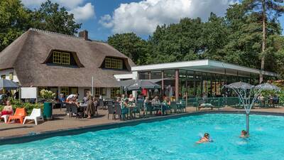 The outdoor pool is located right next to the restaurant at holiday park Molecaten Park De Leemkule