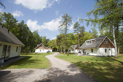 Detached holiday homes at holiday park RCN het Grote Bos