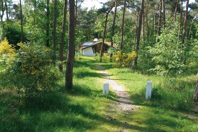 Holiday home in the woods at Roompot Holiday Park Herperduin