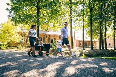 Family with handcart walks in front of holiday homes at Roompot Vakantiepark Weerterbergen