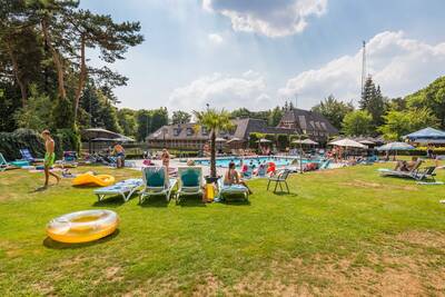 Sun loungers around the outdoor swimming pool of the Topparken Landgoed de Scheleberg