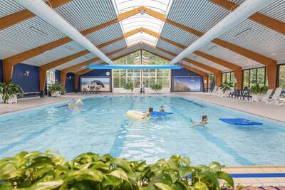 Enjoy swimming in the swimming pool of 10 by 20 meters of Bungalow Park Campanula