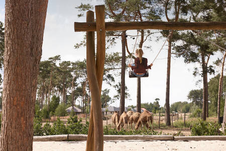Girl on a swing in a playground overlooking the savannah at Safari Resort Beekse Bergen