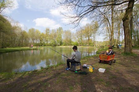 Two boys fishing in a fishing pond at the Buitenhof de Leistert holiday park