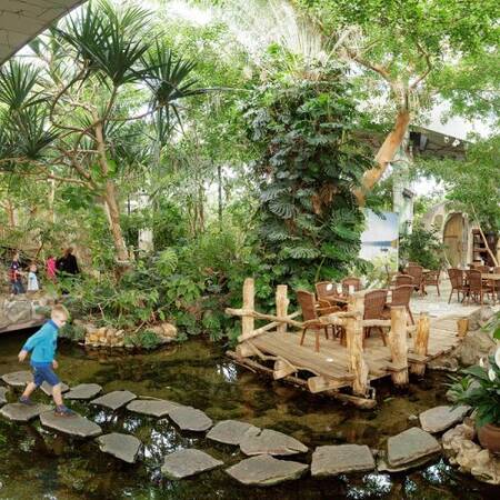 Stepping stones through the water in the Market Dome of Center Parcs De Vossemeren