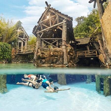 Snorkeling pool, full of tropical fish at Center Parcs Erperheide