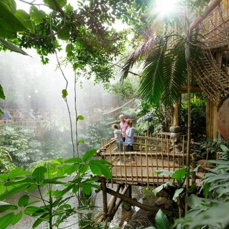 jungle dome at the Center Parcs Heijderbos