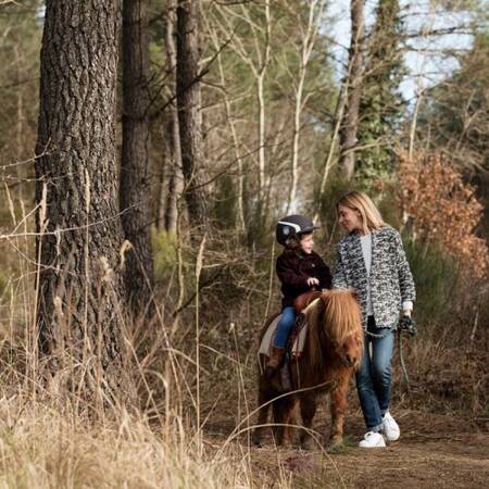 Center Parcs Le Bois aux Daims pony rides