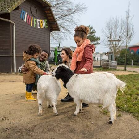 Children pet the goats in the petting zoo at Center Parcs Le Lac d'Ailette