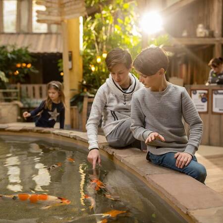 Center Parcs Les Ardennes has a beautiful Market Dome with restaurants and shops