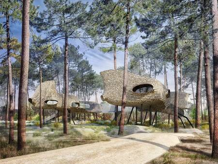 Special accommodation "Tree house" on Center Parcs Les Landes de Gascogne
