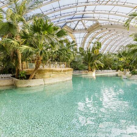 The subtropical swimming pool Aqua Mundo of Center Parcs Les Trois Forêts also has a wave pool