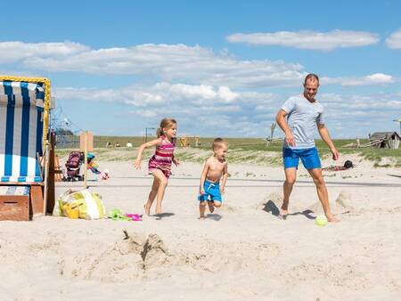 Relax on the beach by the sea near Center Parcs Park Nordseeküste