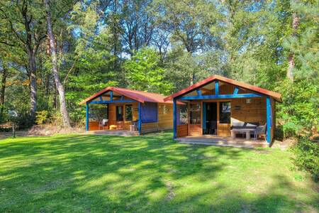 Luxury log cabins suitable for 5 people at camping site De Berenkuil in Grolloo