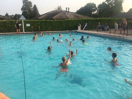 Children swimming in the outdoor pool of holiday park De Boshoek