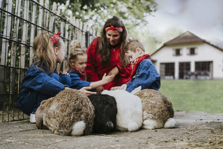 Children cuddle with rabbits at the Dierenbos holiday park