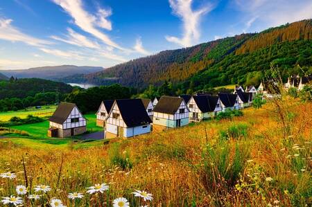 Detached holiday homes at the Dormio Eifeler Tor holiday park