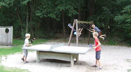 Playground with table tennis table and swing at Drouwenerzand holiday park