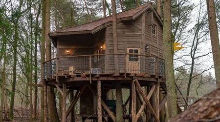 Make unforgettable memories in the tree house at Drouwenerzand holiday park