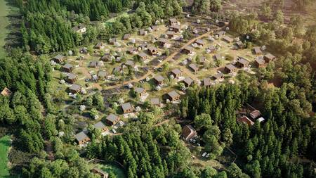 Aerial view of holiday homes at the Dutchen Park de Zeegser Duinen holiday park and the forest