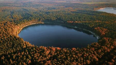 Nature in the vicinity of the Dutchen Park de Zeegser Duinen holiday park