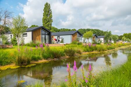 Detached chalets on a ditch at the EuroParcs Aan de Maas holiday park