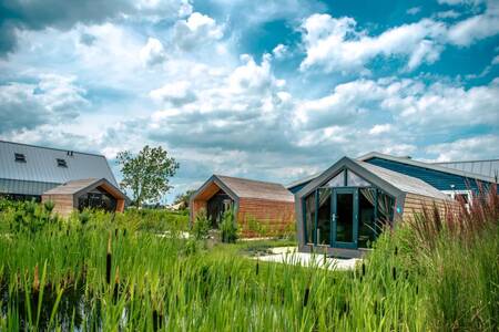 Holiday homes of the "Beach House" type at holiday park EuroParcs Bad Hulckesteijn