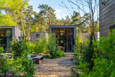 Several Tiny houses at holiday park EuroParcs Beekbergen