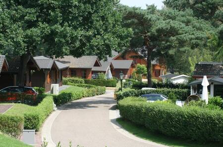 Holiday homes on a lane at the EuroParcs Brunssummerheide holiday park