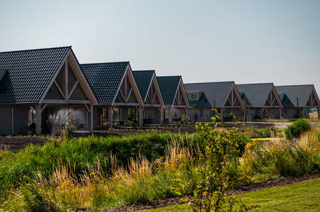 Detached holiday homes at the EuroParcs Cadzand holiday park